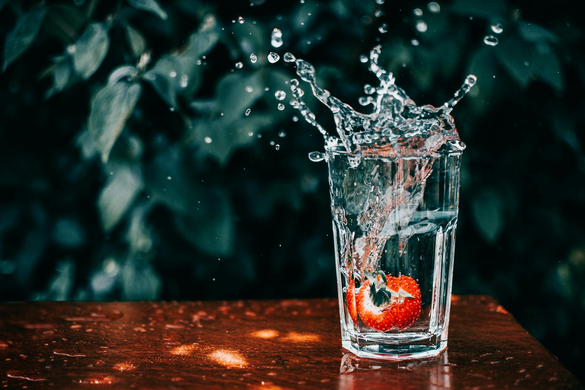 Water Filter Pitchers